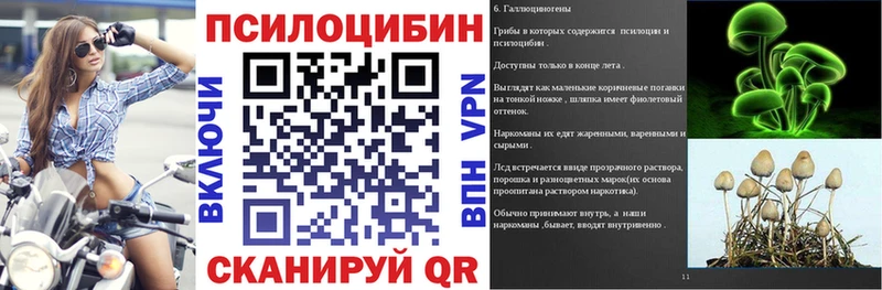 даркнет сайт  Боровичи  Псилоцибиновые грибы мицелий 